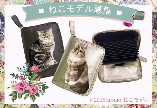 yukiemon×tamaoworld ウサギ刺繍スマホショルダーノベルティ付き yukiemon×tamaoworld ウサギ刺繍スマホショルダーノベルティ付き